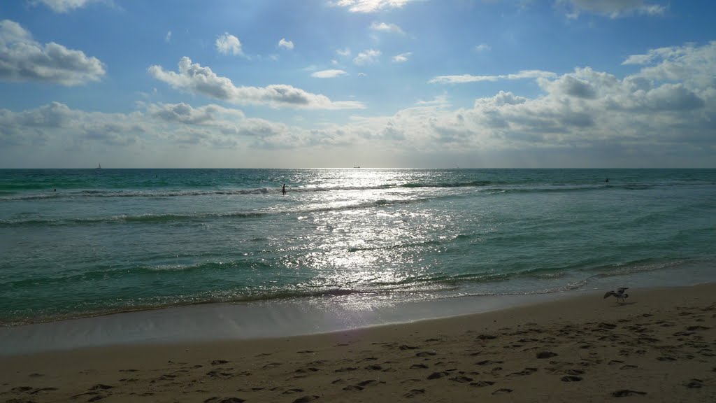 Miami Beach by cwi.aida