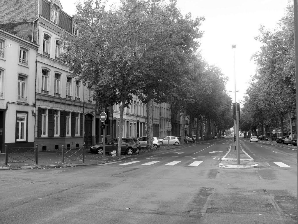 Boulevard Montebello (Lille) by Guy Ferdinande