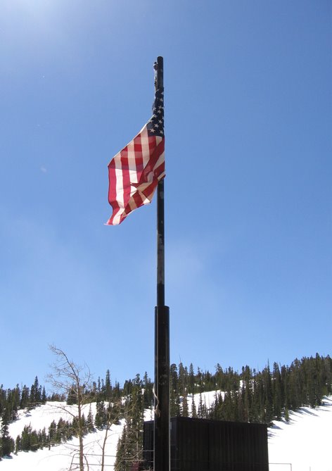 Flag by Jocelyn Bernard