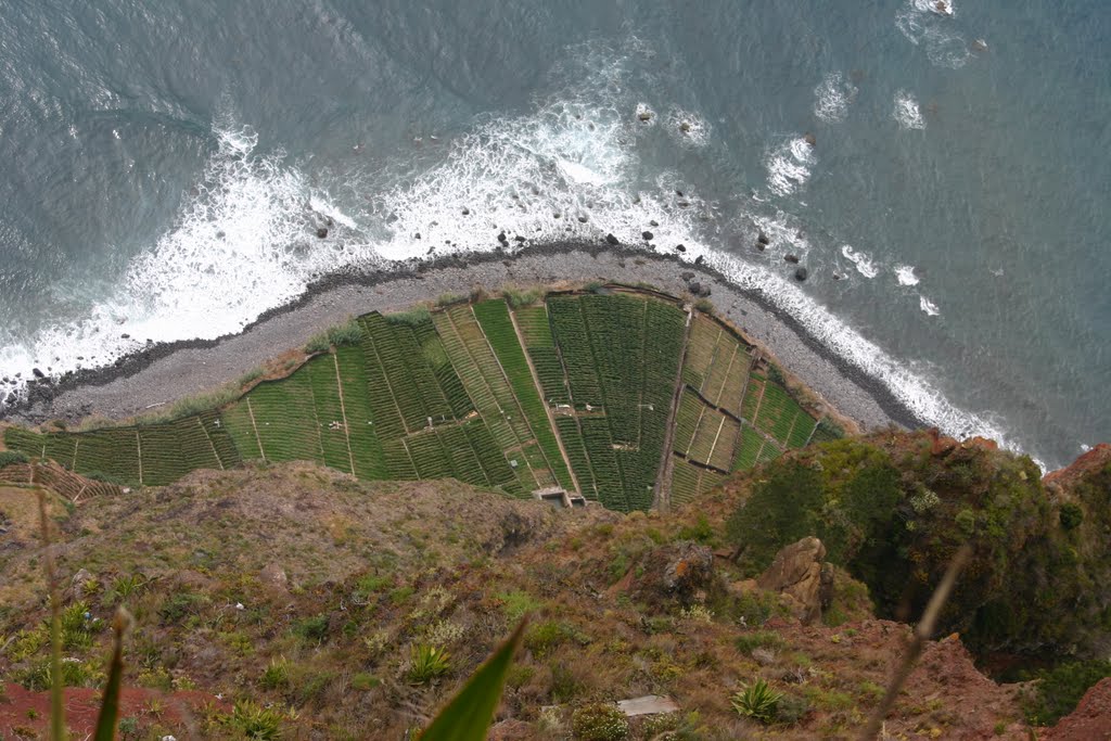 Weinberg, Cabo Girão by Hoptzger