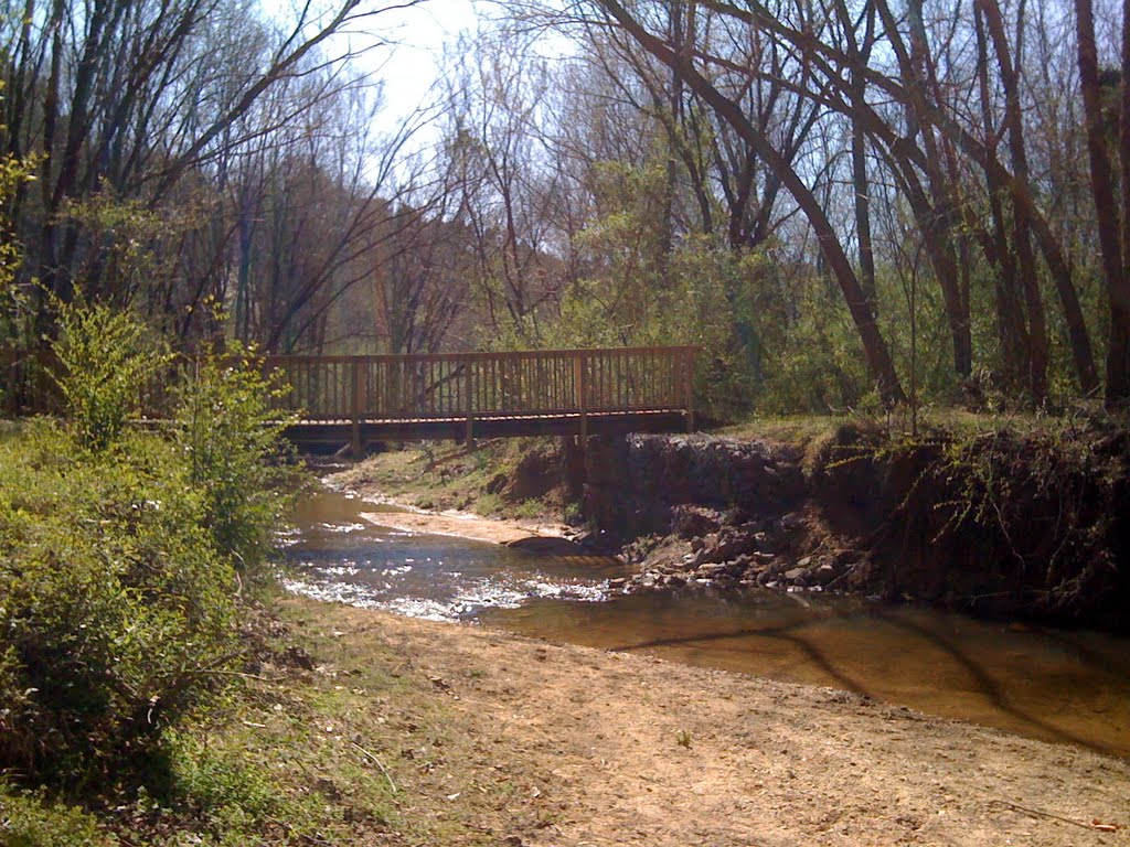 Seven Branches Creek by Scott Long