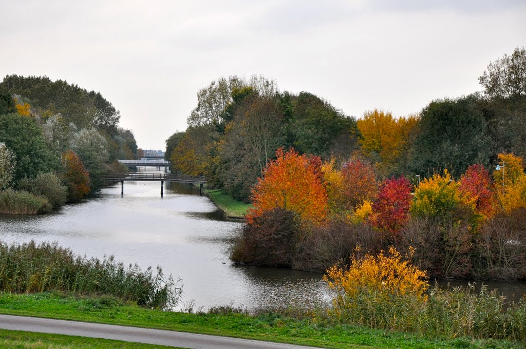 Herfstkleuren in het Beatrixpark by ⓟⓔⓣⓔⓡ ⑴ Ⓒ