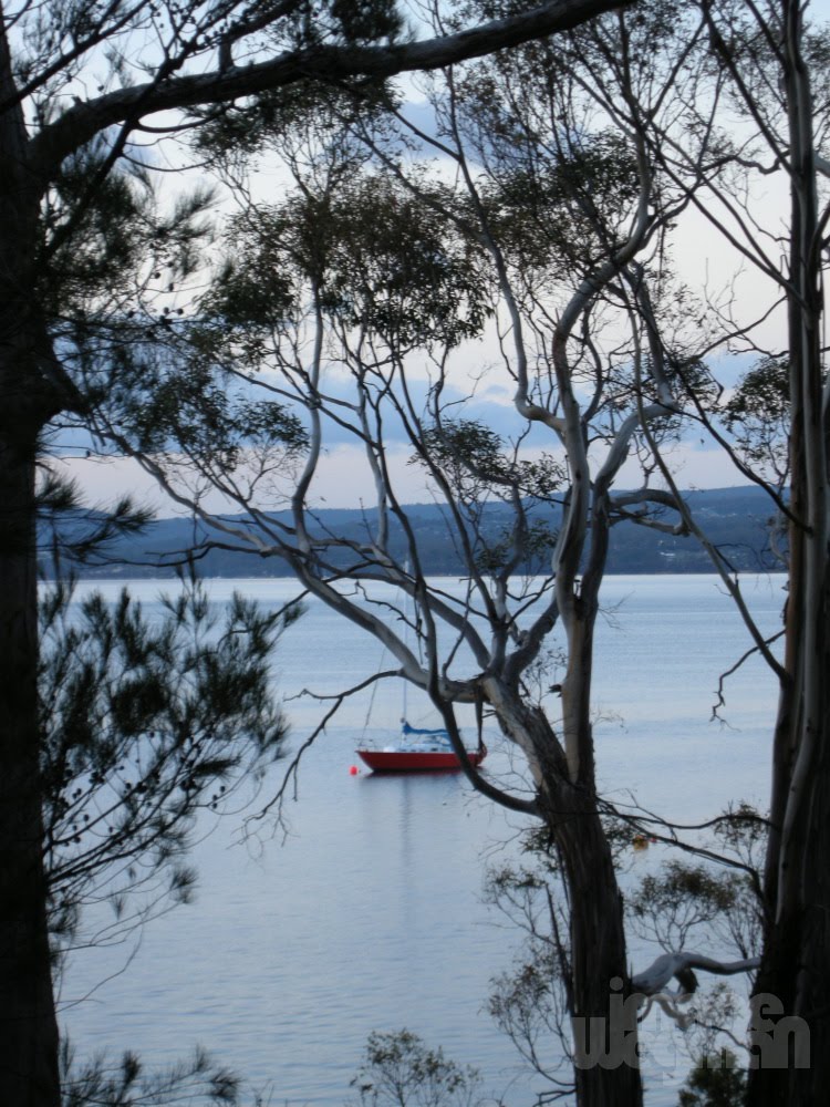 Red Boat, Coningham by Imogen Wegman