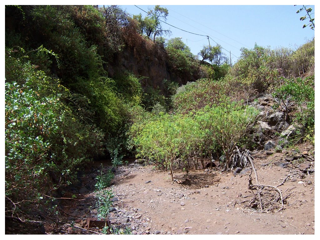 Barranco Guiniguada (Alt. Pino Santo Bajo) by Daghadma