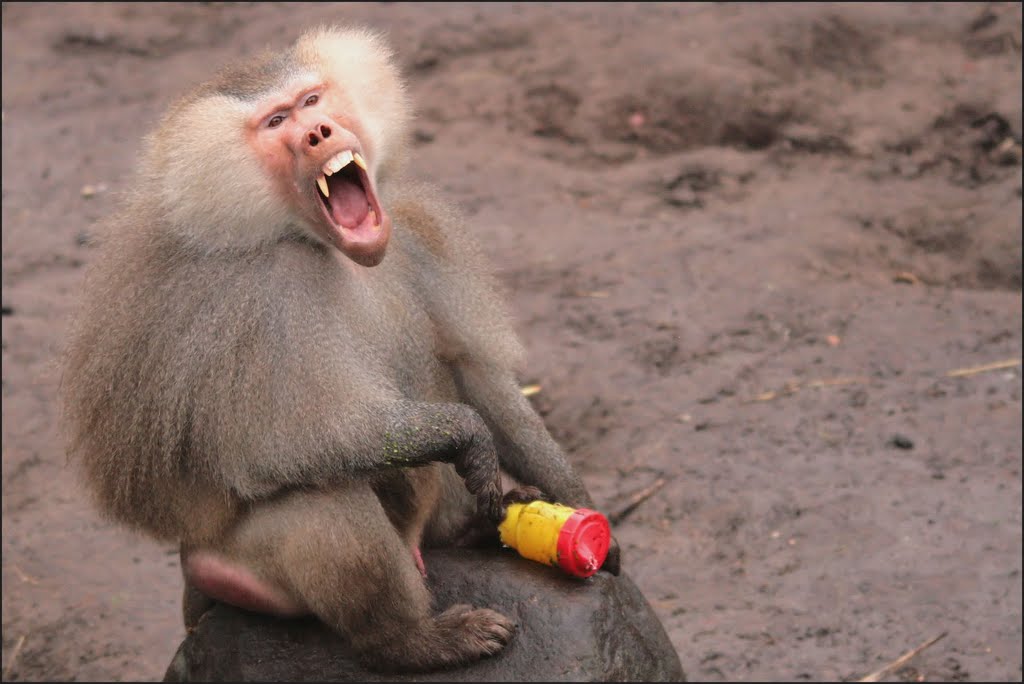 Ik wil drinken by Teunis Haveman