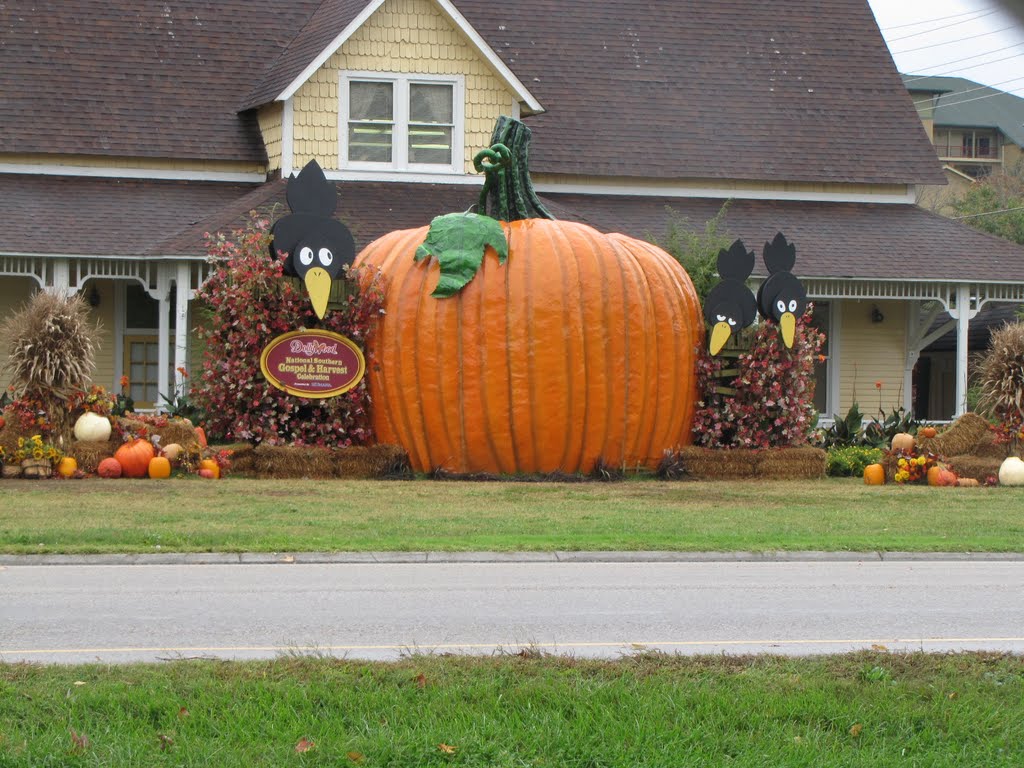 WOW..what a pumpkin! Pigeon Forge, Tennessee...USA by Sarah O