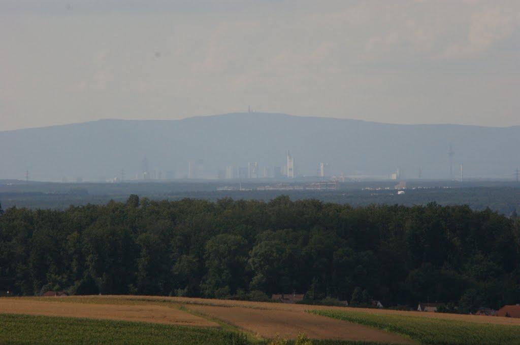 Frankfuter Skyline vom Wartturm by Sir Bayou