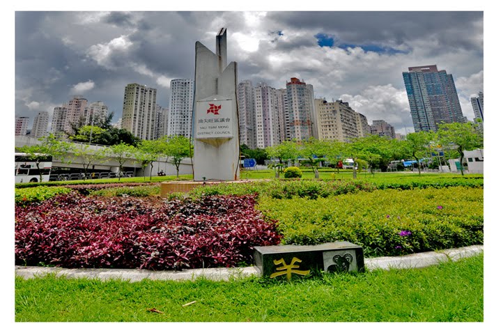 Hong Kong by Shuster Alexandr