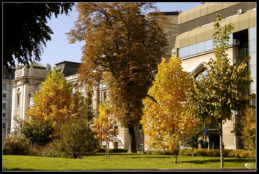 Jesen u Beogradu / Autumn in Belgrade by Aleksandar Filipovic