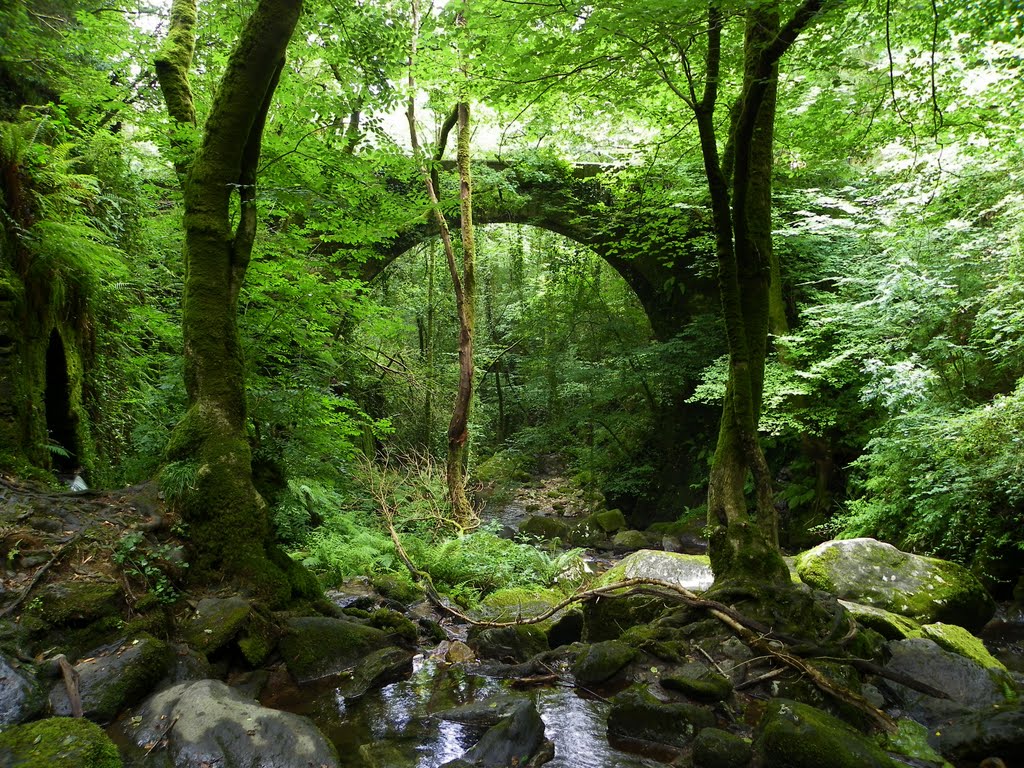 Medieval bridge in the Eume forest by carlos olalla cano