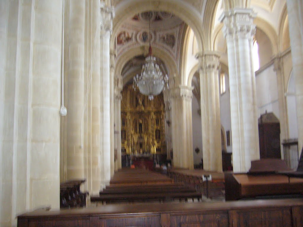 CLAUSTRO DE LA CATEDRAL DE BAEZA by Manuel Acero Cruz