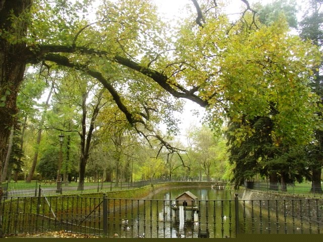 ALCEDA EN OTOÑO, UN PARQUE AL NIVEL DE LOS MEJORES DE EUROPA, PERO EN UN PUEBLECITO by SUAVIA/Miguel 3