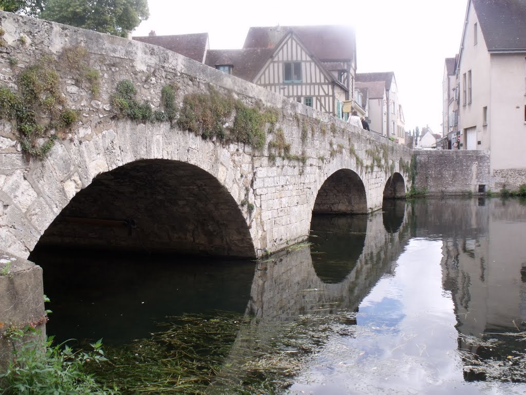 Puente en Chartres by Manolito_Gafotas