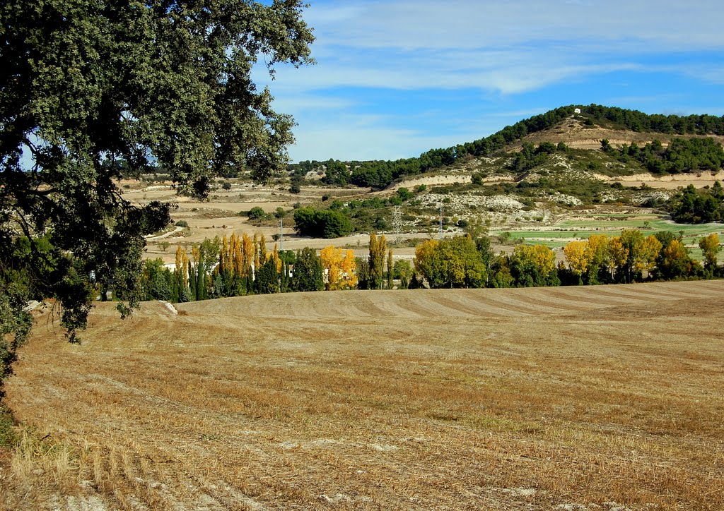 Ribera d'Ondara, Mas Claret, La Segarra by Angela Llop