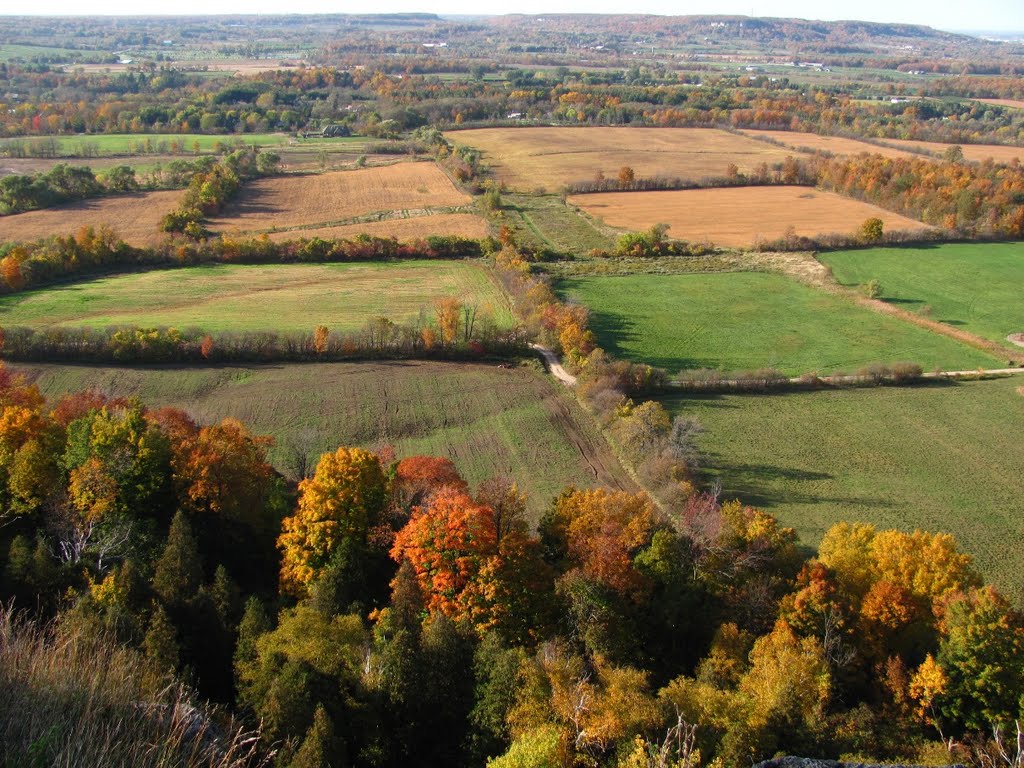 Farmland by natureguy42