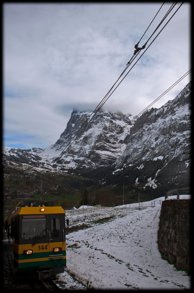 Grindelwald by Lëam