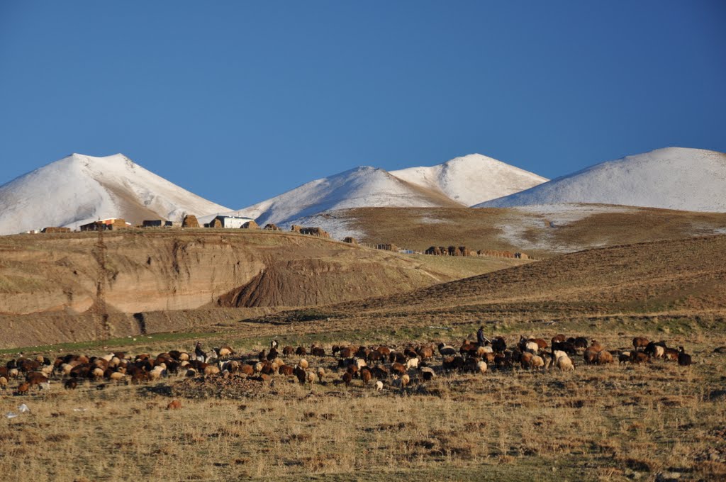 Tucar//bakış by t ucar