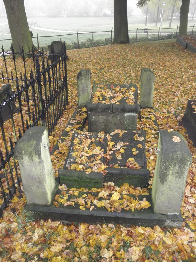 'Begraven' onder het blad , 'Burried' under autumn leaves by Mart61