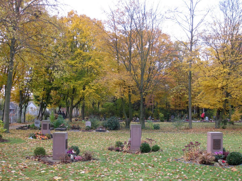 Ludwigshafen - Neues Urnengrabfeld auf dem Friesenheimer Friedhof by Andreas-Müller - NO VIEWS