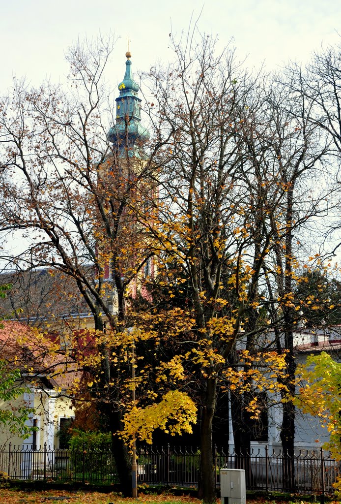 Vetkőznek a fák, Take off the leaves by etterla