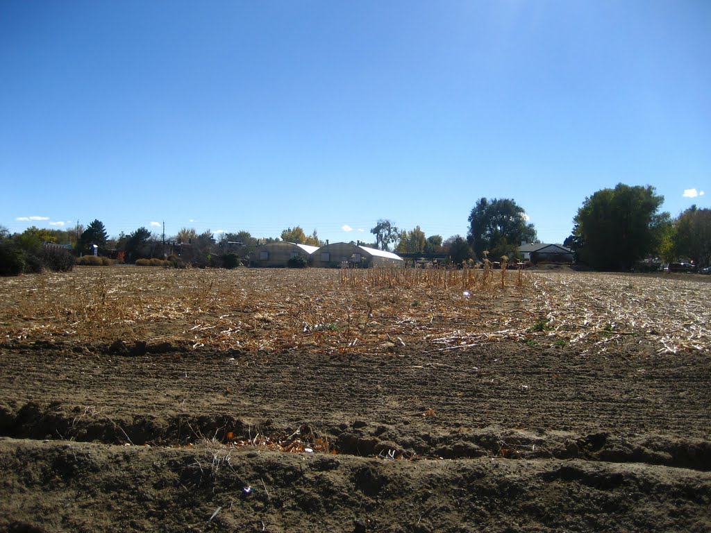 A suburban farm in Wheat Ridge by adoverboy2