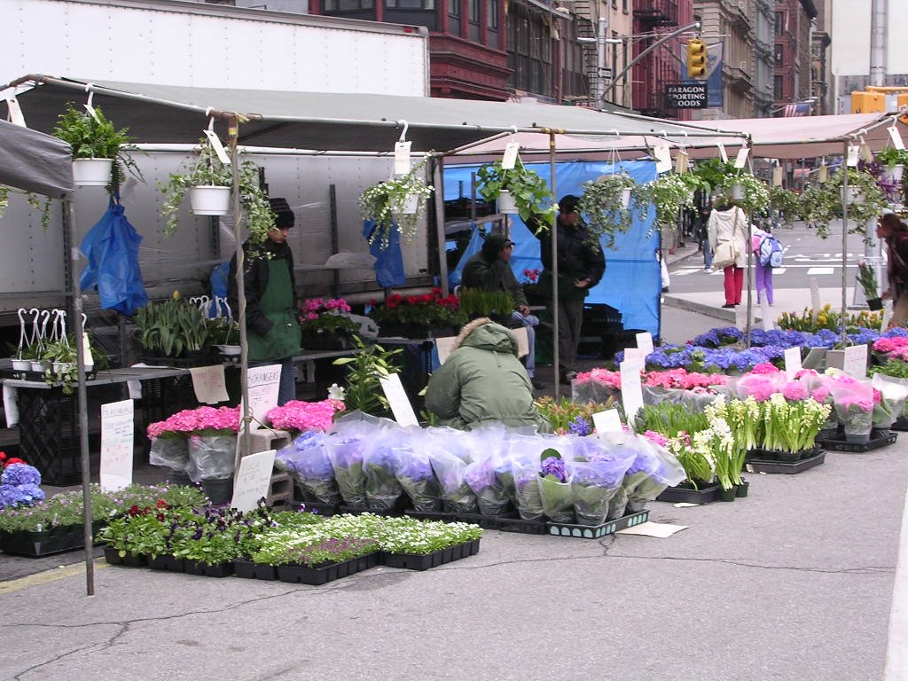 Union square florists by Peter Rabbit little …