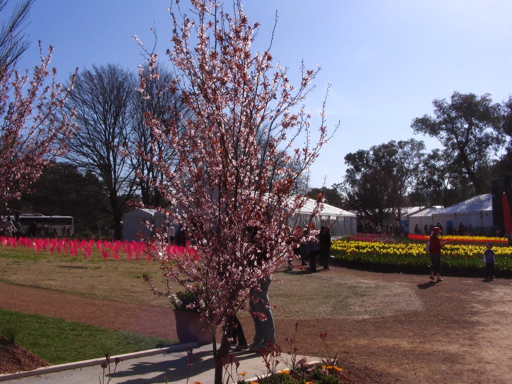 Floriade by jing-124@live.com