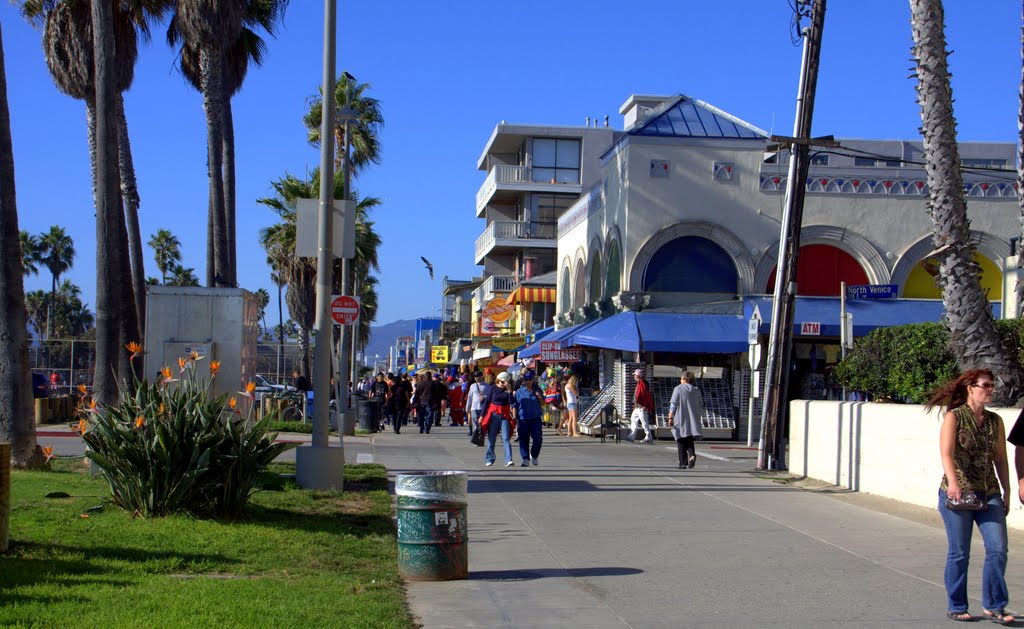 In Venice Beach, Los Angeles, CA , USA by aleksolo