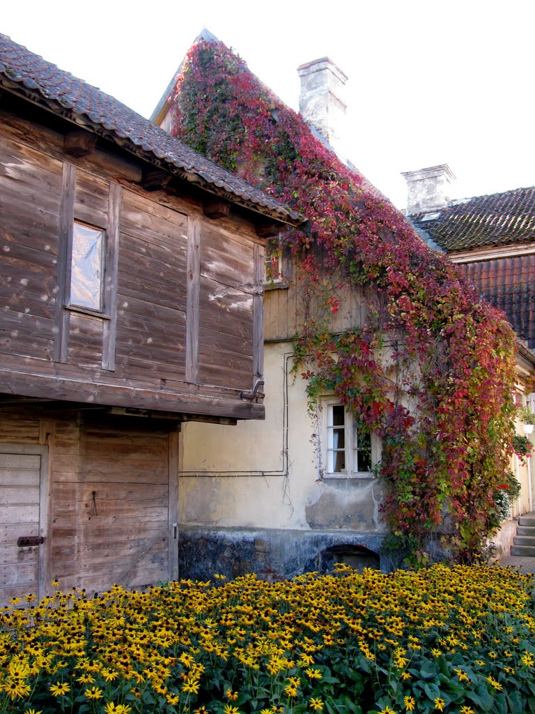 Kuldīga. Latvija by Indra Dišteina