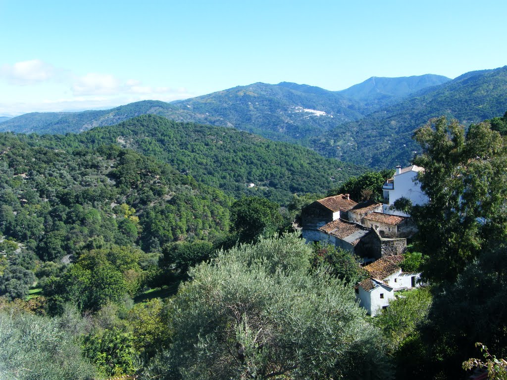 29490 Benarrabá, Málaga, Spain by Miguel Ángel Mato