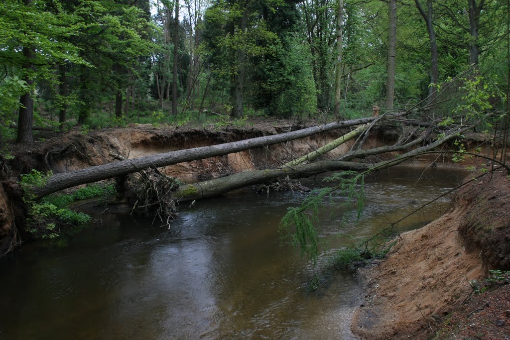 Swalm Beekherstel Waterschap Peel en Maasvallei by Halarj01