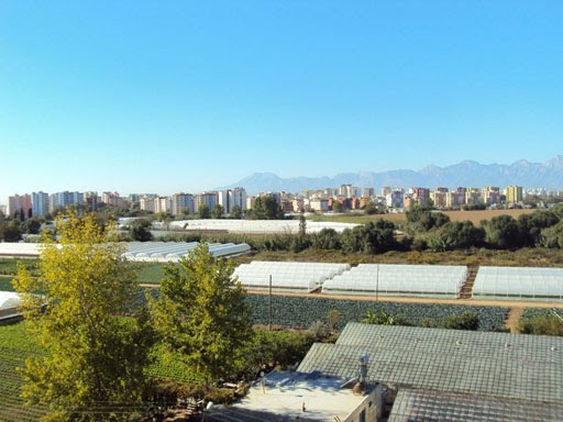 Balkondan Tahtalı (Olimpos) Dağı Öğlen by Faruk Yavuz