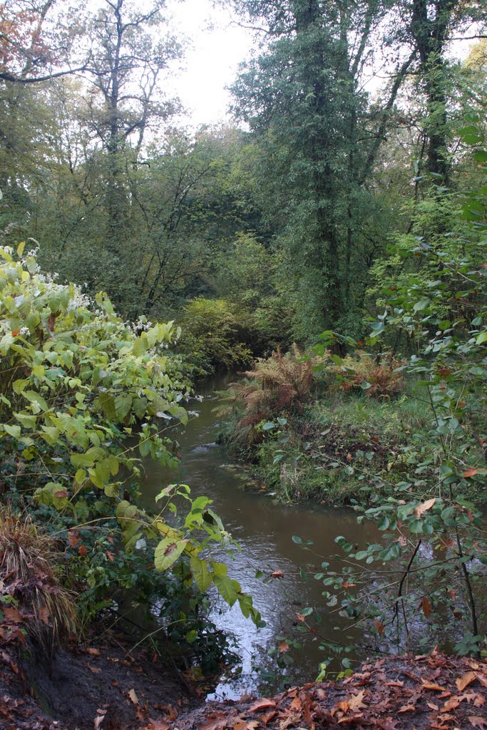 Reusel bij landgoed "De Utrecht" Esbeek by Halarj01