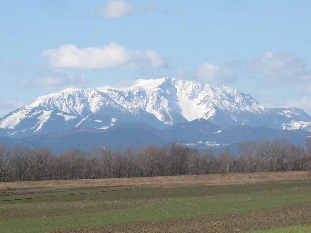 Leitha-Au Blick zum Schneeberg by HeWiki