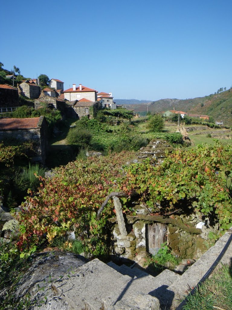 Braña cubierta de parras by edoarado