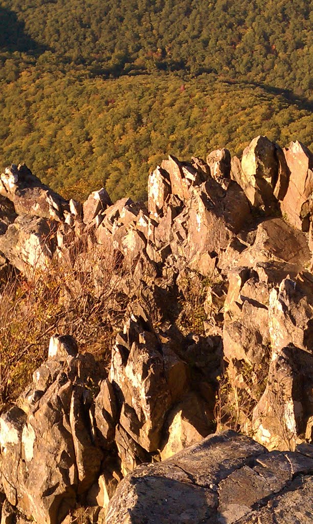 Shenandoah National Park, Virginia (2010-10-09) by jeffdlb