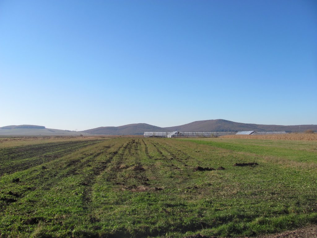 Vedere spre Padure-Dobolii de Jos by Popescu Vicentiu