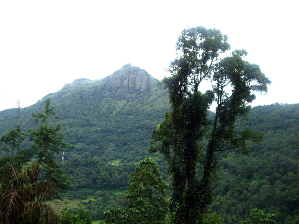 Balana Mountain -බලන කඳුකර by Al-thalib