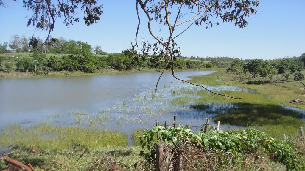 REPRESA - FAZENDA IRMÃOS BIÁSIO by chico biazio