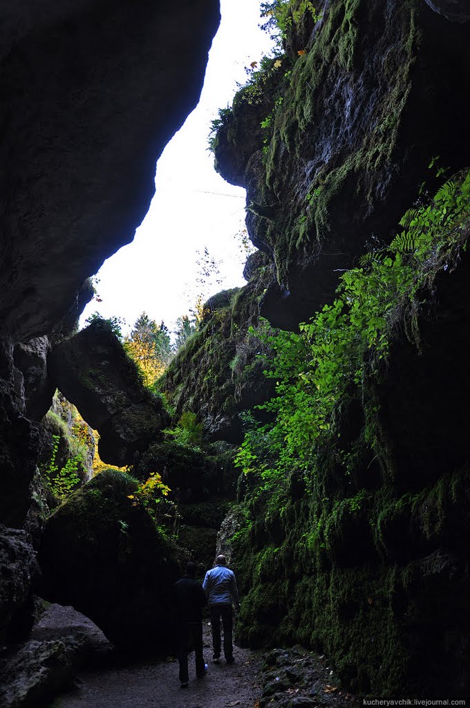 Exit from the Devil's Cave near Pottenstein - Ausgang aus der Teufelshöhle bei Pottenstein by Pavlo Dyban