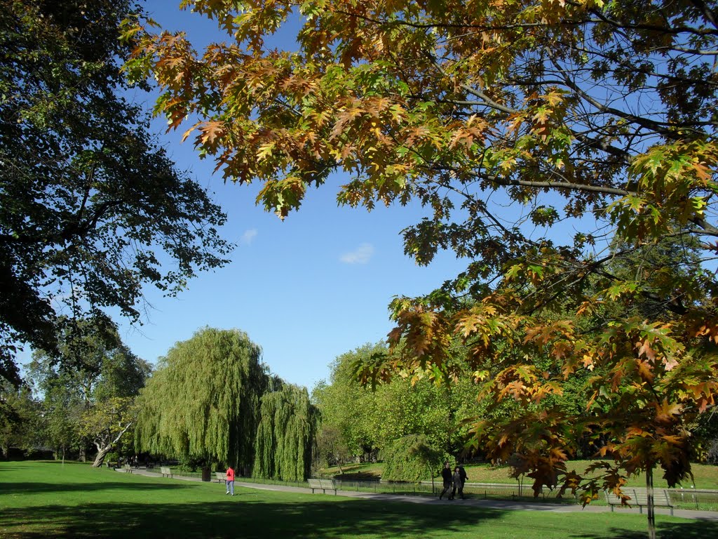 Autumn in Regent's Park by gordo1958