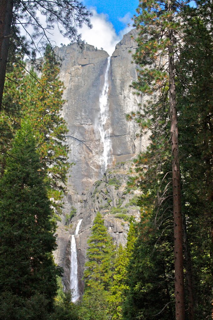 Yosemite Valley, CA 95389, USA by nickewhite1983