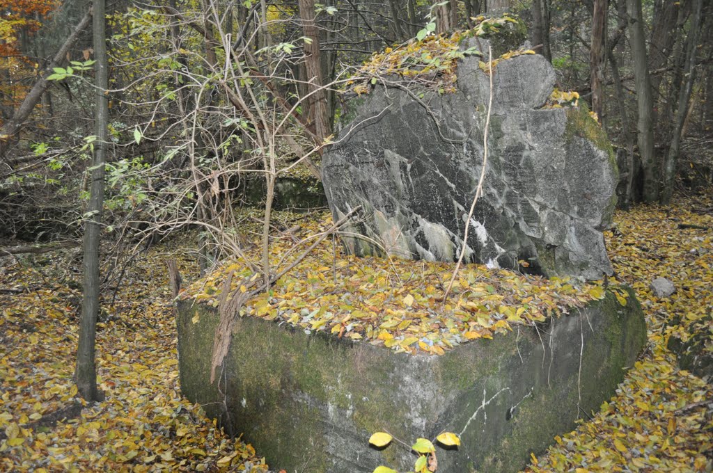 Bunkerreste am Parkplatz der B 9 im Bienwald von Siegfried Kremer by Siegfried Kremer Philippsburg