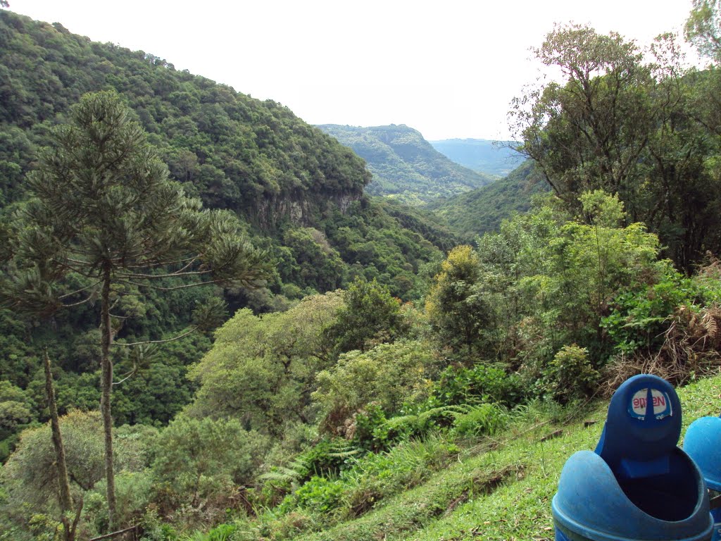 Vale após a Cachoeira do Caracol, Canela/RS by Willian Partica