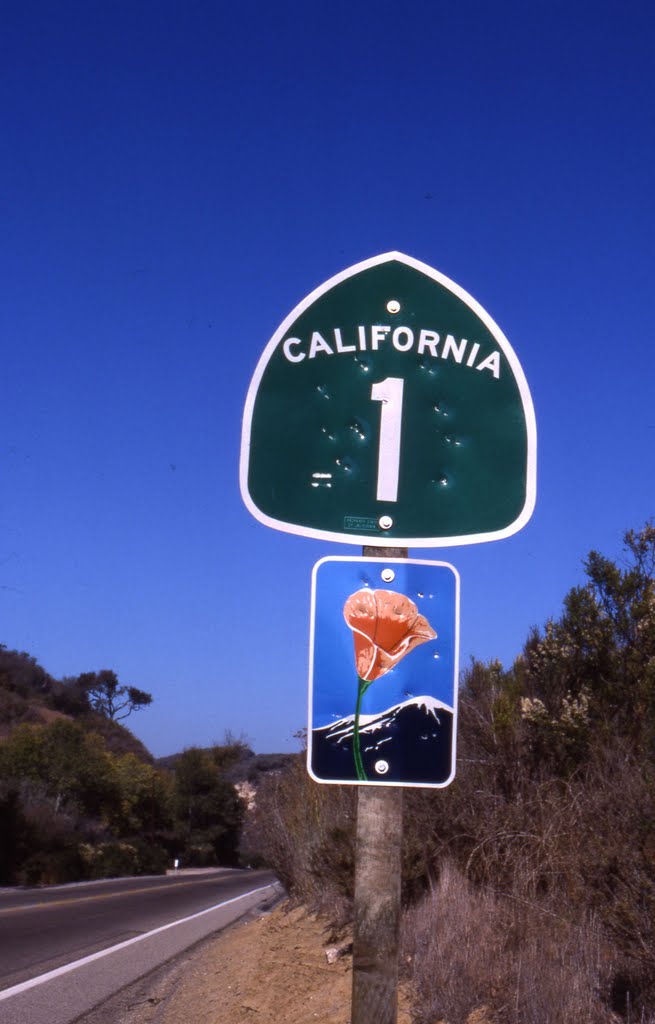 Highway Number 1 California by Magnus Ganslandt