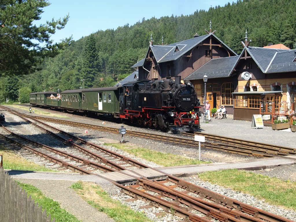 Zugeinfahrt im Bahnhof Oybin by Robert Knothe