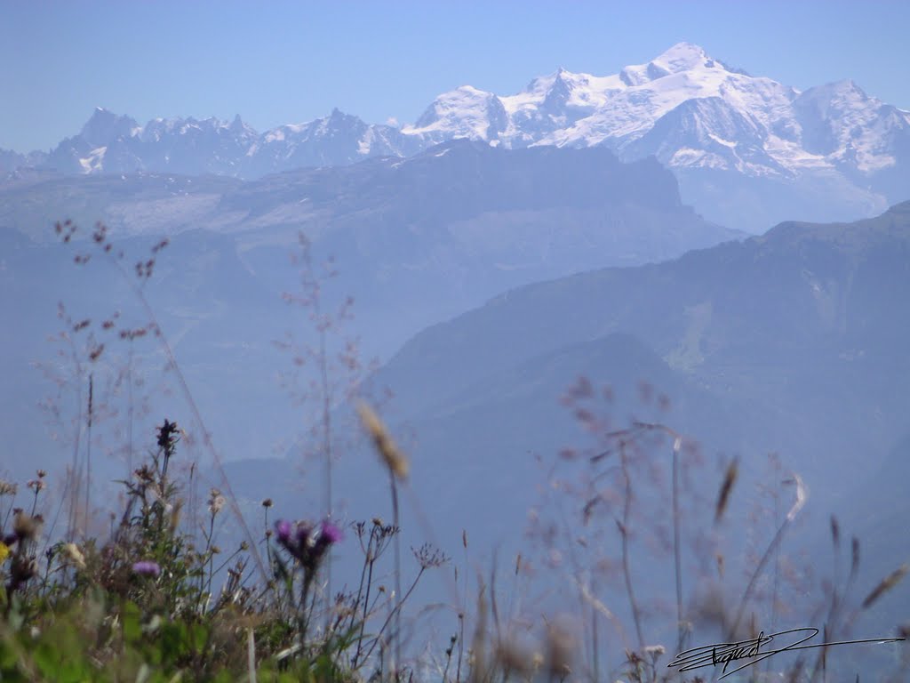 Mont Blanc vu du Môle by Xavier “Xav74” Xav