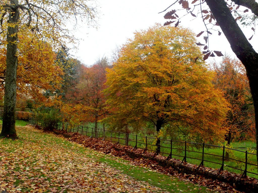 Autumn Dean Park,Kilmarnock.(425) by Portmoreloch