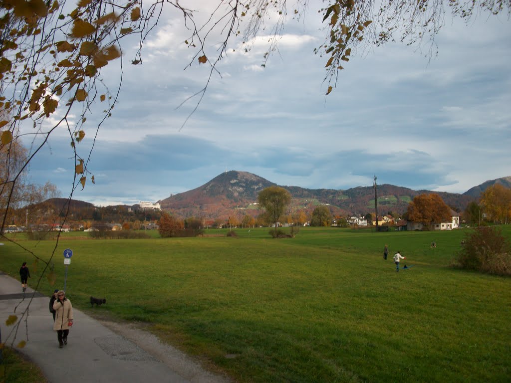 Blick auf den Gaisberg - von Baum aus by Nimo