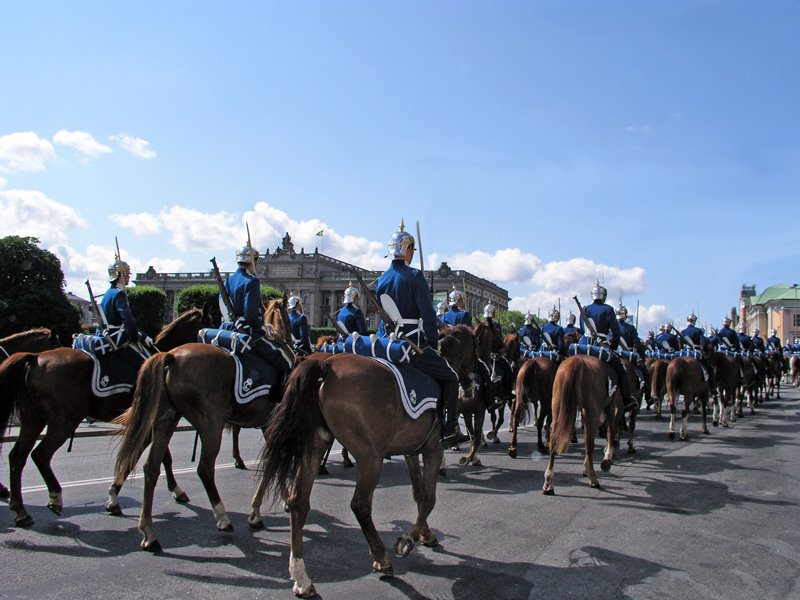 Royal Guard at the by josenhans